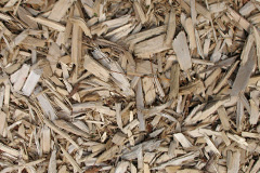 biomass boilers Birchen Coppice